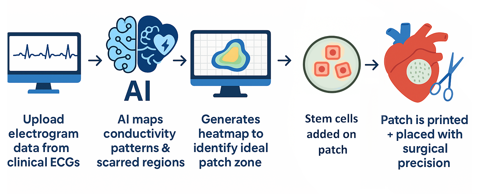 Cardiac Patch Process
